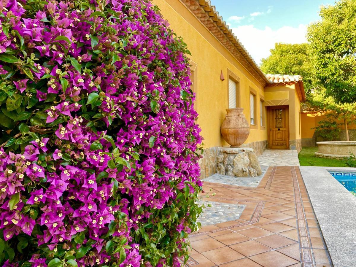 Casa Rural Via Del Tranvia La Zubia  Εξωτερικό φωτογραφία